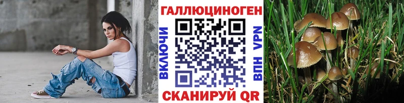 Галлюциногенные грибы GOLDEN TEACHER Ершов