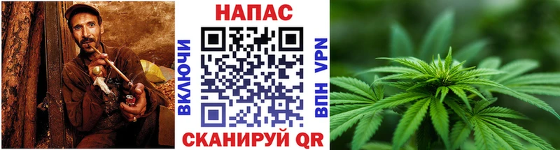 закладки  Ершов  МАРИХУАНА марихуана 